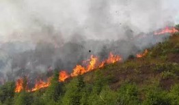 揭西县爆料大火案件最新,真相揭秘，悲剧背后的调查与反思